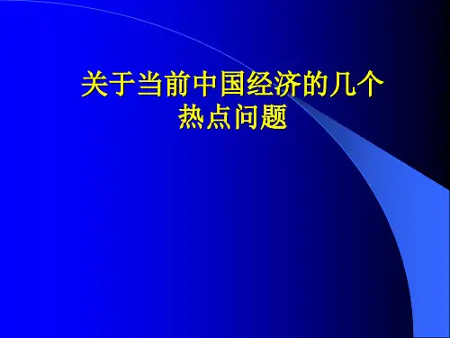 关于当前中国经济的几个热点问题南开大学PPT课件
