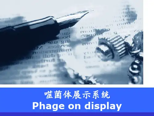 噬菌体展示技术