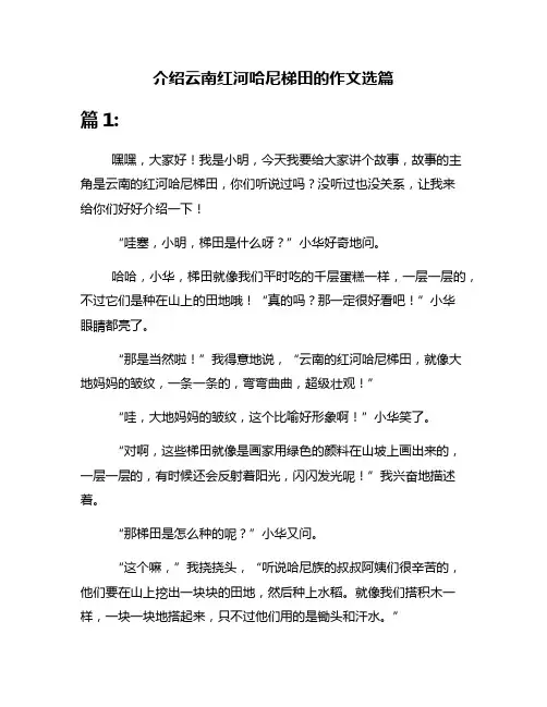 介绍云南红河哈尼梯田的作文选篇