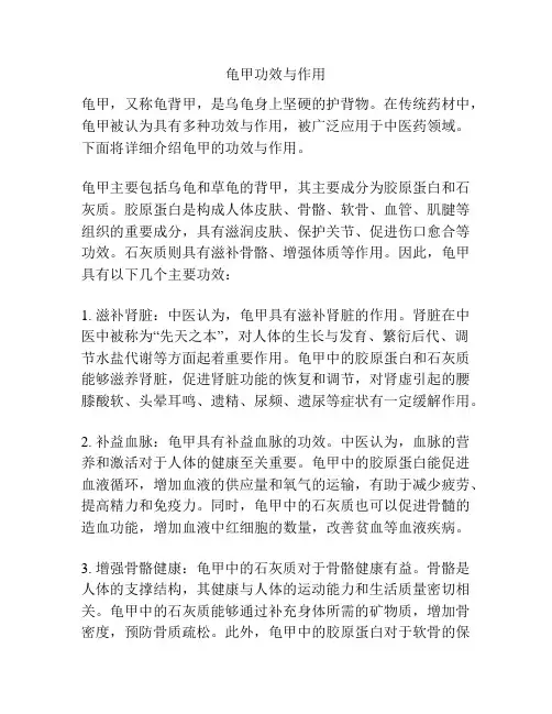 龟甲功效与作用