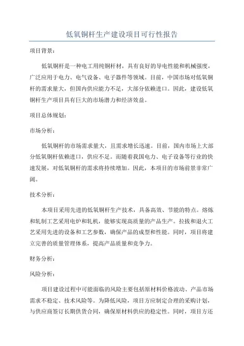 低氧铜杆生产建设项目可行性报告