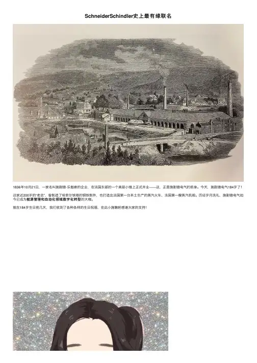 SchneiderSchindler史上最有缘联名