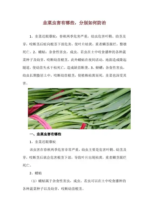 韭菜虫害有哪些,分别如何防治
