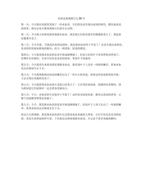 水仙花的观察日记30字