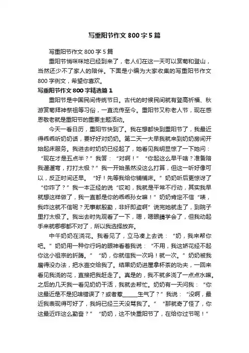 写重阳节作文800字5篇