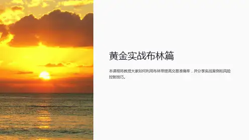 《黄金实战布林篇》课件