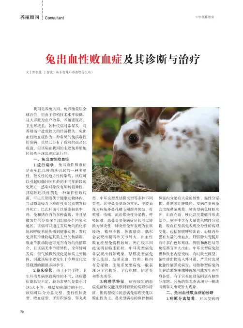 兔出血性败血症及其诊断与治疗