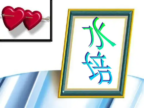 水培花卉项目介绍