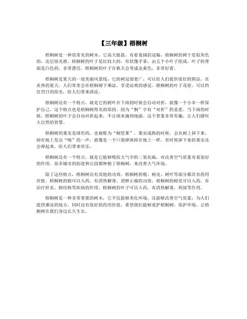 【三年级】梧桐树