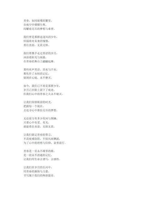 诗歌《致青春》原文