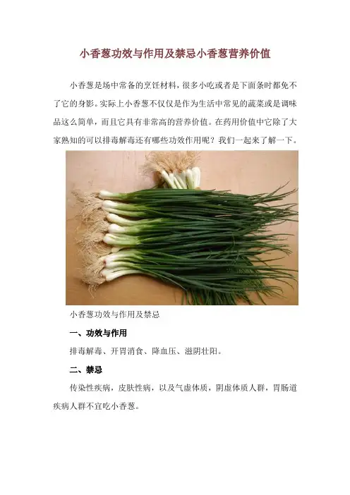 小香葱功效与作用及禁忌 小香葱营养价值