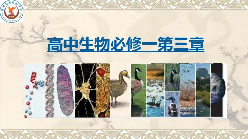 苏教版必修一三细胞的基本结构二节时精品PPT课件