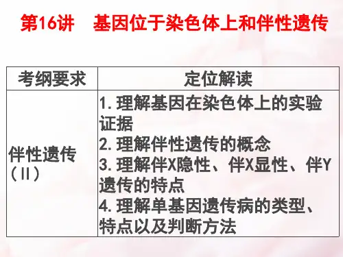 高三一轮复习课件：第16讲 基因在染色体上及伴性遗传