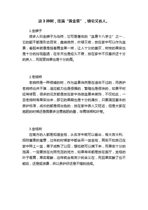 这3种树，挂满“黄金果”，镇宅又养人。