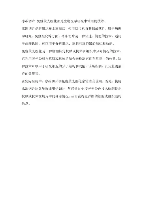 冰冻切片 免疫荧光组化