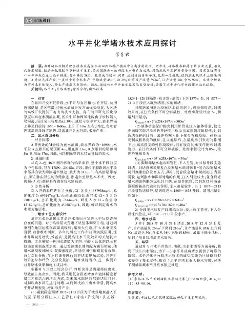 水平井化学堵水技术应用探讨
