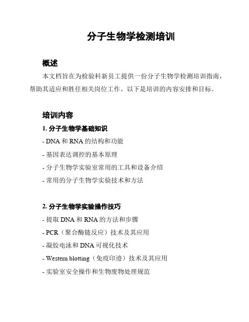 分子生物学检测培训