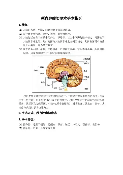 颅内占位手术手术指引