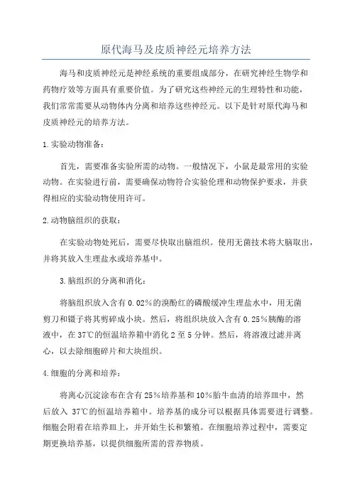 原代海马及皮质神经元培养方法