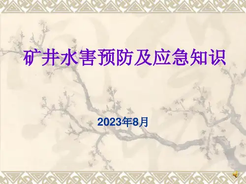 水害预防及应急知识(40页)