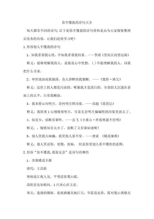 你不懂我的诗句