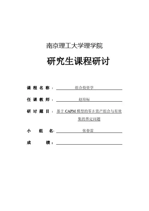 基于CAPM模型的零β资产组合与有效集的界定问题