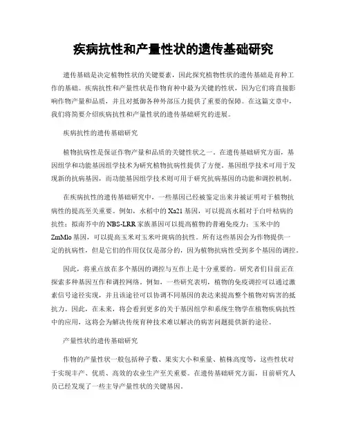 疾病抗性和产量性状的遗传基础研究