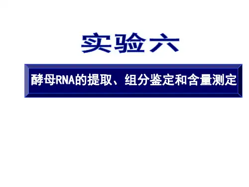 中国药科大学生化设计性实验报告参考——酵母RNA的提取、组分鉴定和含量测定