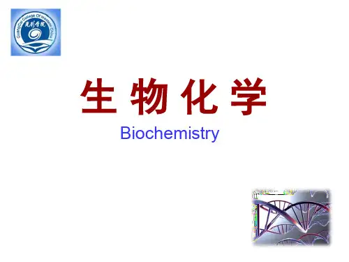 高职、专科专用医学生物化学课件--DNA复制