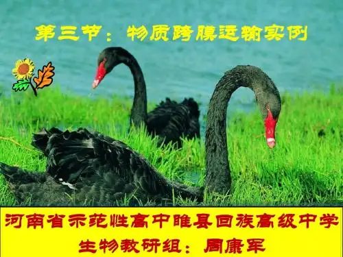 物质跨膜运输实例