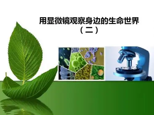 《用显微镜观察身边的生命世界(二)》微小世界PPT课件3