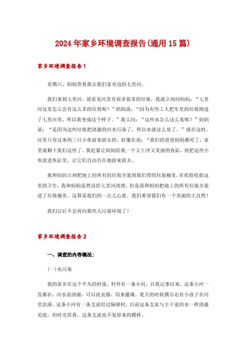 2024年家乡环境调查报告(通用15篇)