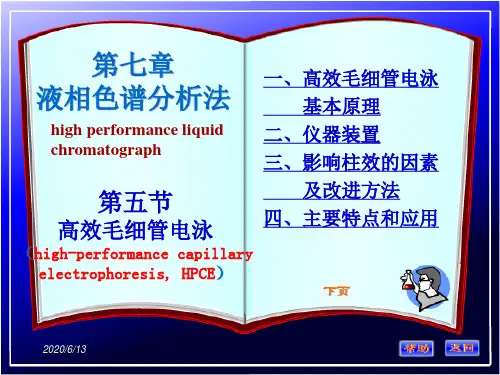 高效毛细管电泳法