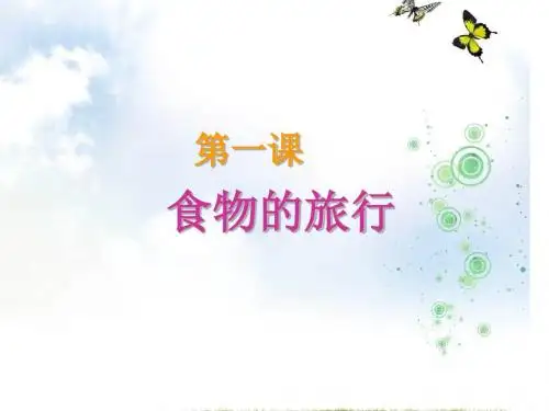 《食物的旅行》PPT课件77339