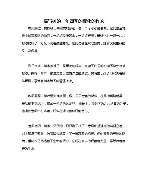 描写树的一年四季的变化的作文