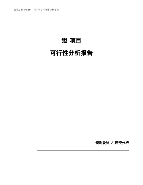 钽 项目可行性分析报告(模板参考范文)