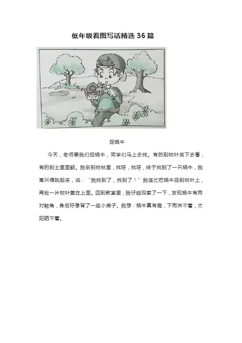 低年级看图写话精选36篇