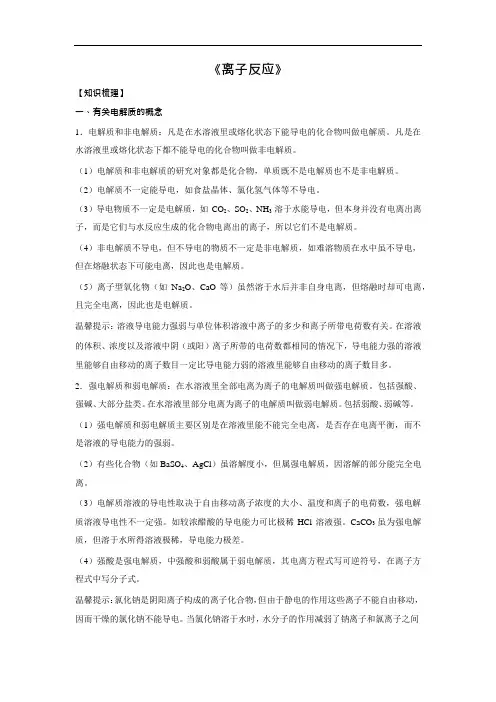 新高考化学一轮总复习讲解资料-离子反应