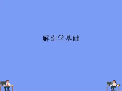 (2021)解剖学基础完美版PPT