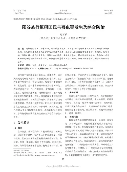 阳谷县行道树国槐主要虫害发生及综合防治