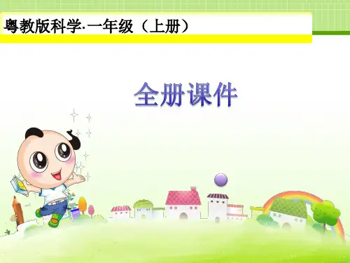 【新教材】新版粤教粤科版 小学科学精品课件【全册课件】【精品】