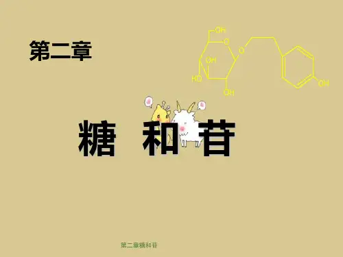 第二章糖和苷
