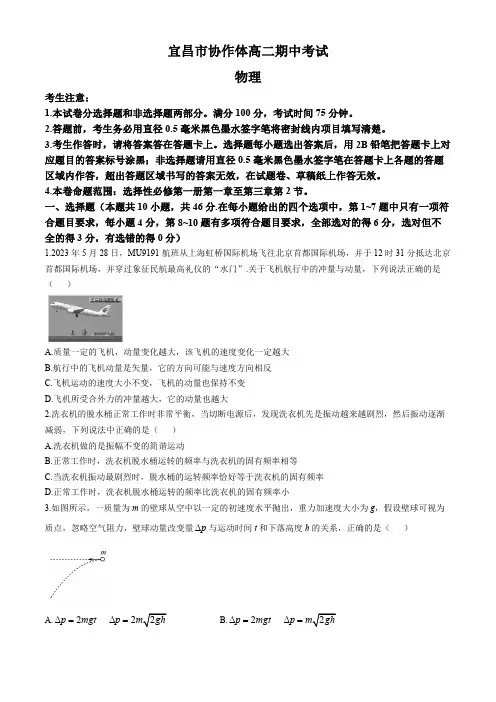 湖北省宜昌市协作体2024-2025学年高二上学期期中考试物理试题