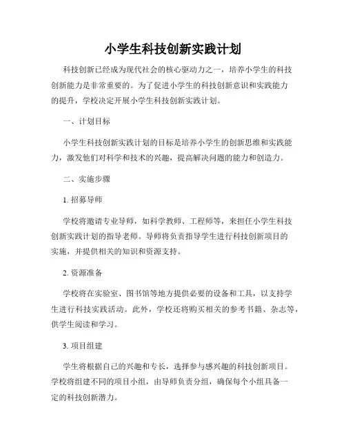 小学生科技创新实践计划