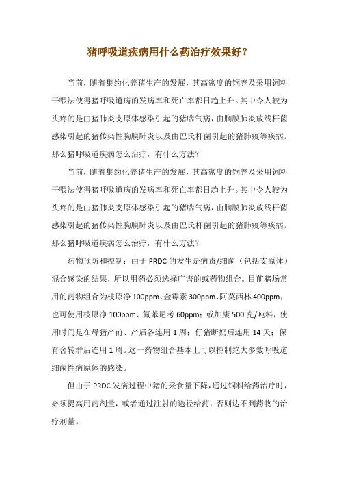 猪呼吸道疾病用什么药治疗效果好？