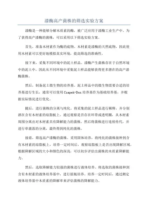 漆酶高产菌株的筛选实验方案