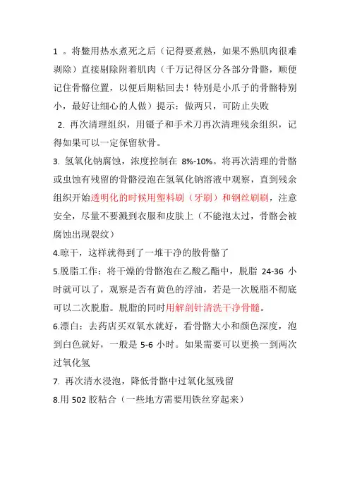 中华鳖骨骼标本制作过程全解