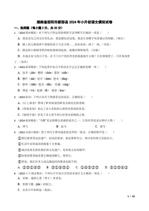 湖南省邵阳市新邵县2024年小升初语文模拟试卷(含解析)