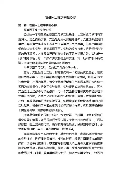 观基因工程学实验心得