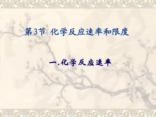 高一化学必修2《化学反应速率与限度》PPT课件